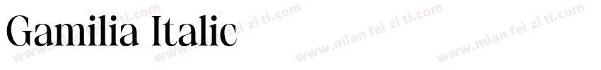 Gamilia Italic字体转换